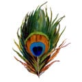 Logo2